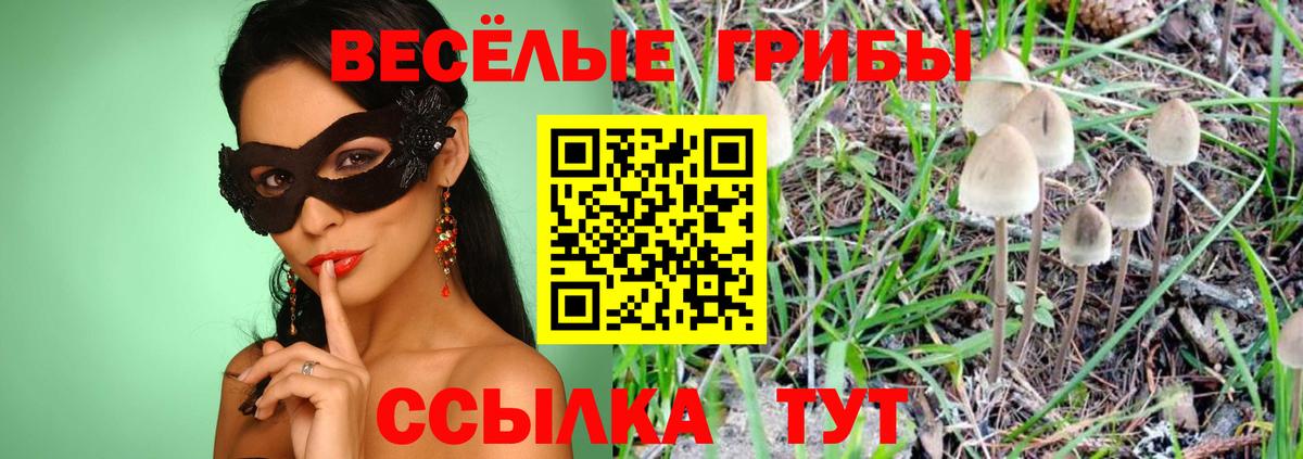 Псилоцибиновые грибы мицелий Коломна