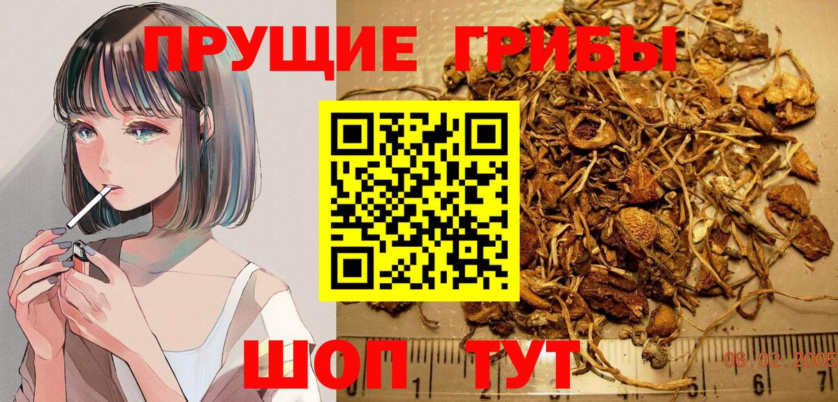 Псилоцибиновые грибы мицелий  Вход с VPN  Коломна 